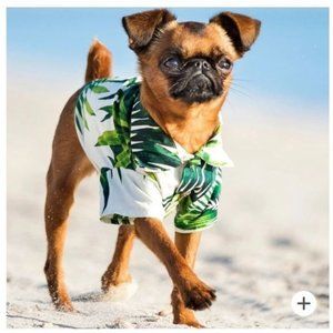 DogThreads HAVANA PALMS BBQ SHIRT FOR PUPS Large